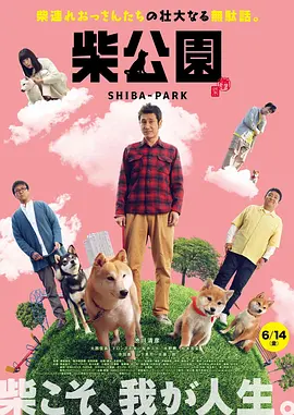 亚洲在线看片