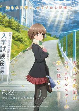 天堂躁躁人人躁婷婷视频ⅴ