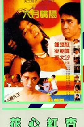 天天综合久久久网