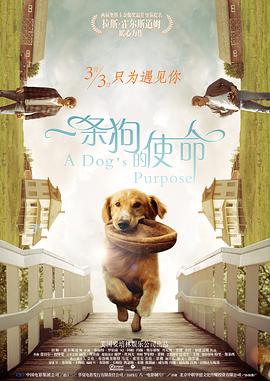 91精品国产麻豆福利在线