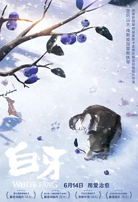 国产一区二区久久精品
