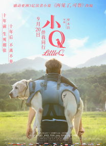 五月花综合