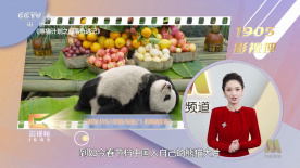 性生活三级视频